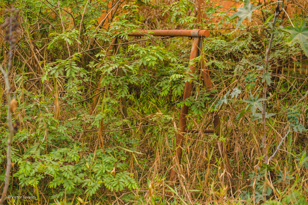 Fotos do rompimento da barragem da Samarco em Mariana que atingiu o distrito de Bento Rodrigues MG com ruínas lama e destruição