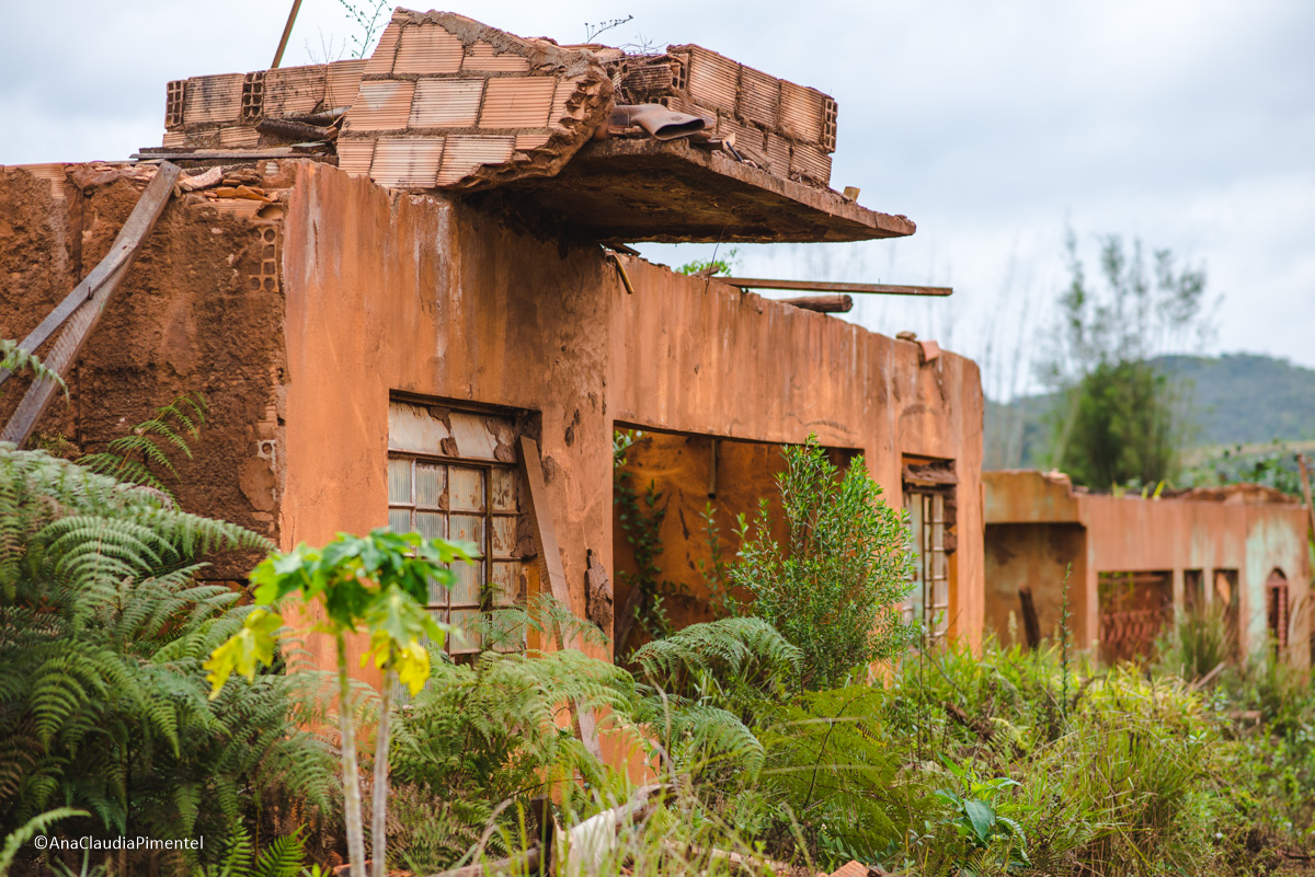 Fotos do rompimento da barragem da Samarco em Mariana que atingiu o distrito de Bento Rodrigues MG com ruínas lama e destruição