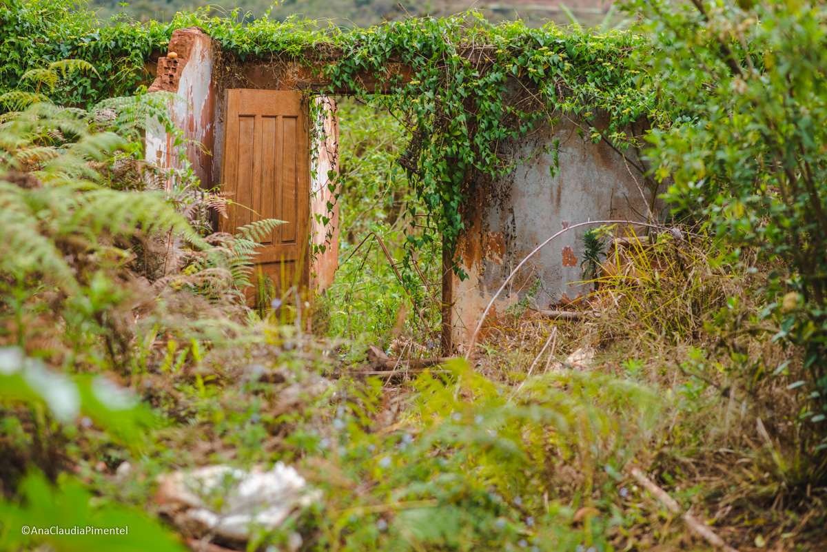 Fotos do rompimento da barragem da Samarco em Mariana que atingiu o distrito de Bento Rodrigues MG com ruínas lama e destruição