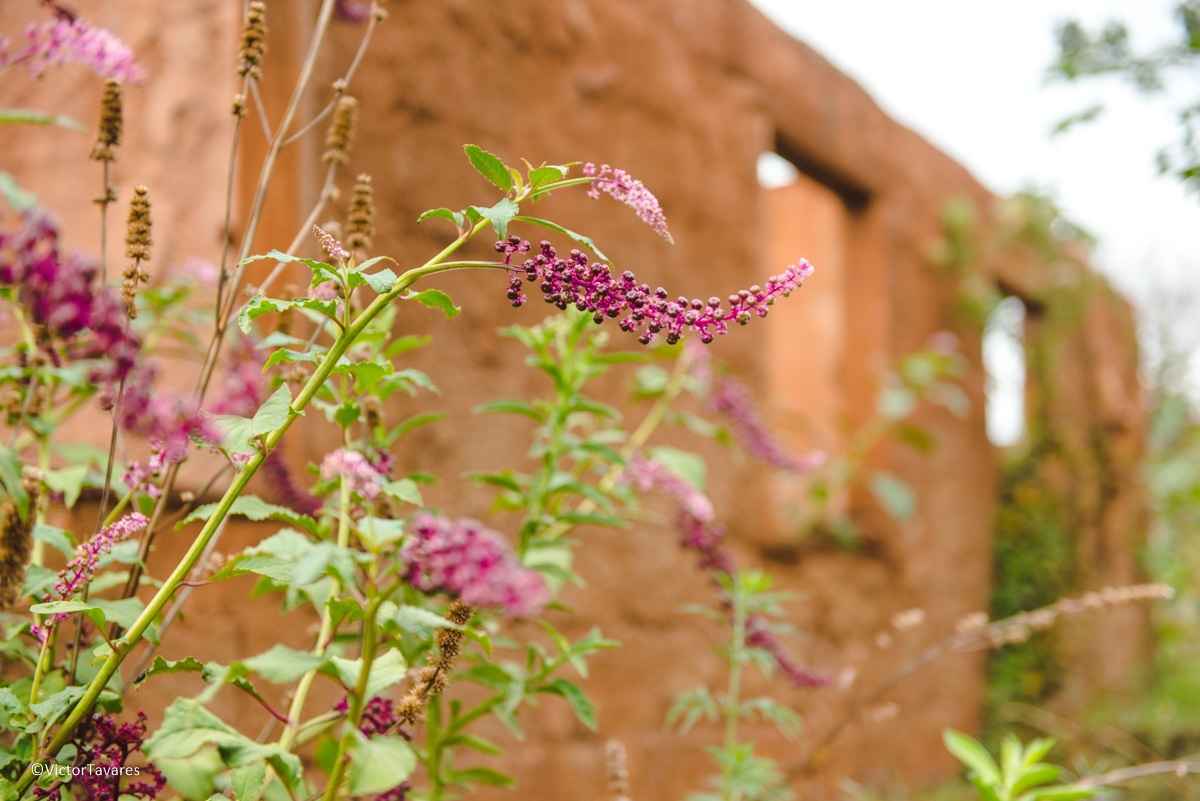 Fotos do rompimento da barragem da Samarco em Mariana que atingiu o distrito de Bento Rodrigues MG com ruínas lama e destruição