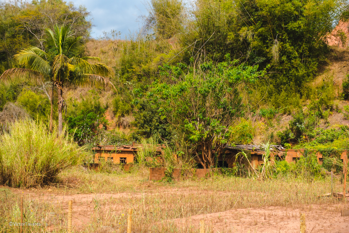 Fotos do rompimento da barragem da Samarco ocorrido em Mariana MG com lama destruição e ruínas em Gesteira Minas Gerais