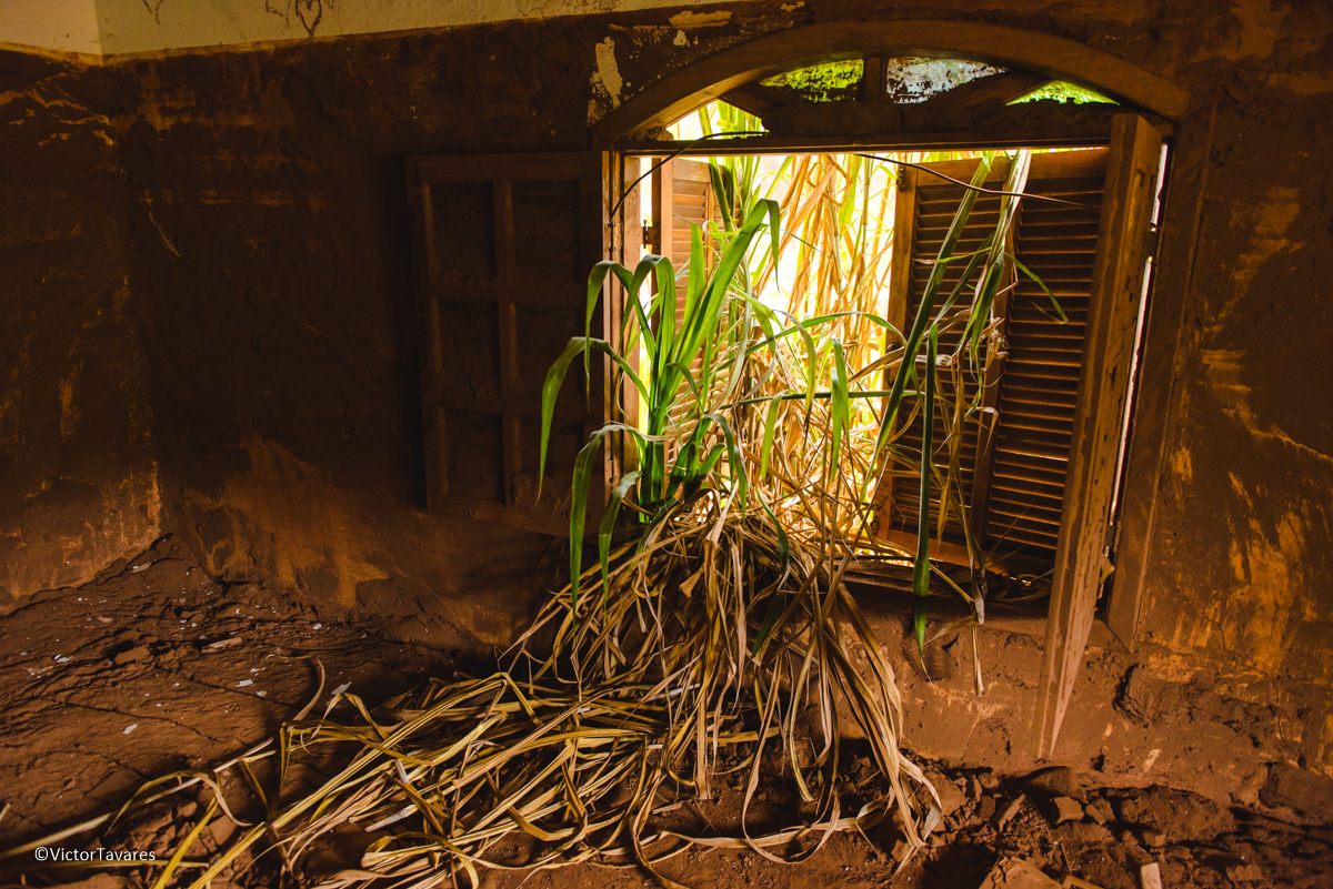 Fotos do rompimento da barragem da Samarco ocorrido em Mariana MG com lama destruição e ruínas em Gesteira Minas Gerais