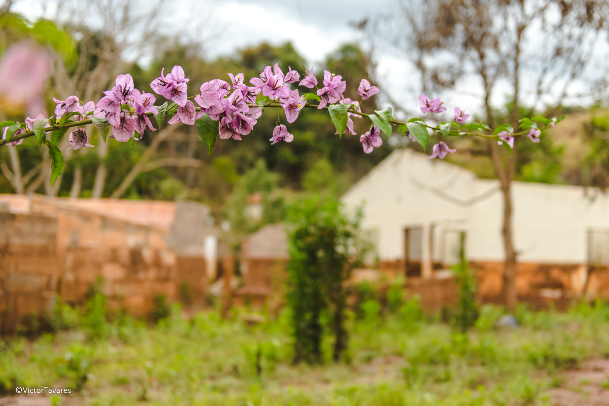 Fotos do rompimento da barragem da Samarco ocorrido em Mariana MG com lama destruição e ruínas em Paracatu de baixo Minas Gerais
