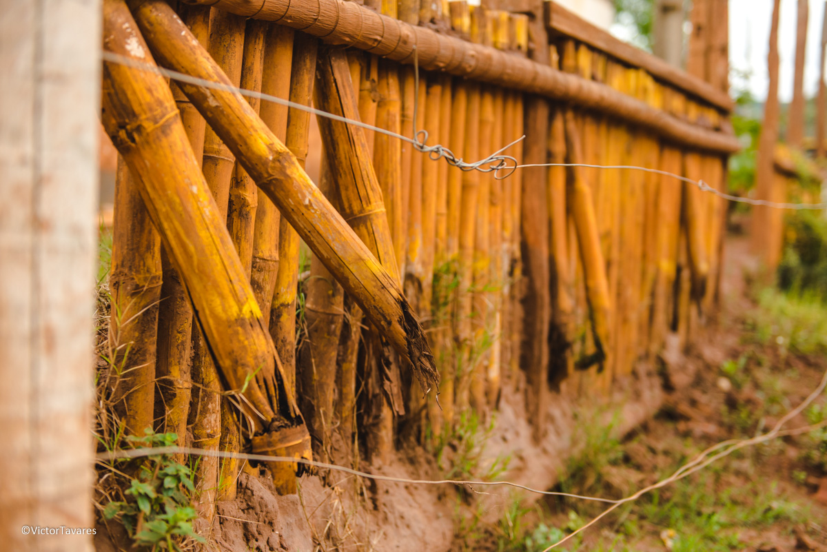 Fotos do rompimento da barragem da Samarco ocorrido em Mariana MG com lama destruição e ruínas em Paracatu de baixo Minas Gerais