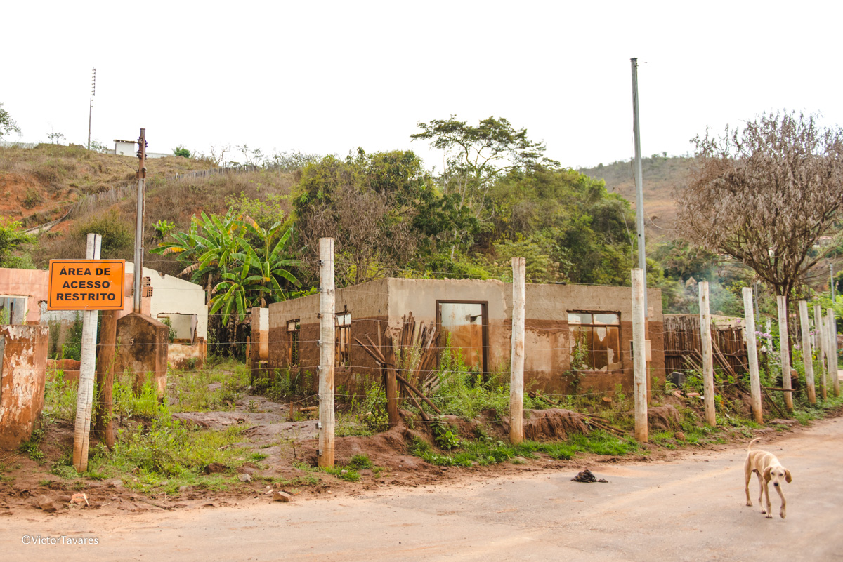 Fotos do rompimento da barragem da Samarco ocorrido em Mariana MG com lama destruição e ruínas em Paracatu de baixo Minas Gerais