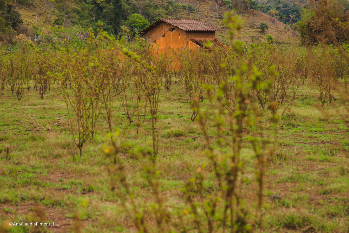 Fotos do rompimento da barragem da Samarco ocorrido em Mariana MG com lama destruição e ruínas em Paracatu de baixo Minas Gerais