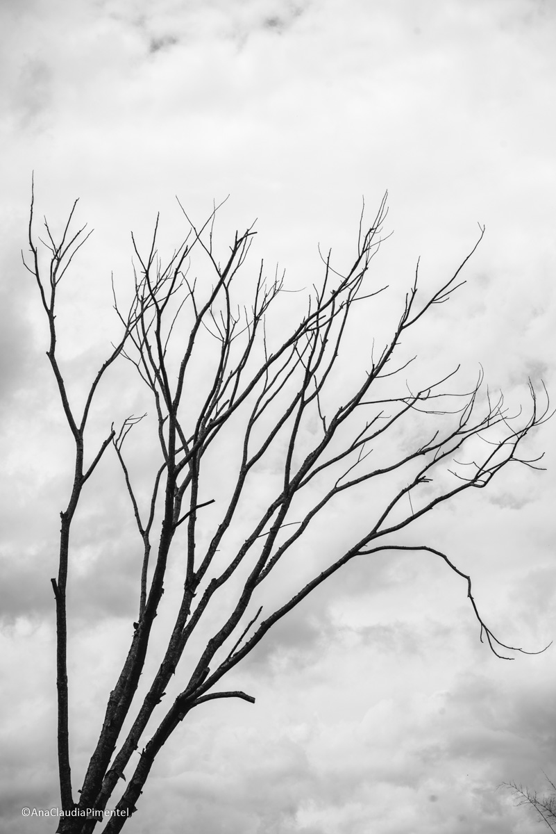 Fotos do rompimento da barragem da Samarco ocorrido em Mariana MG com lama destruição e ruínas em Paracatu de baixo Minas Gerais