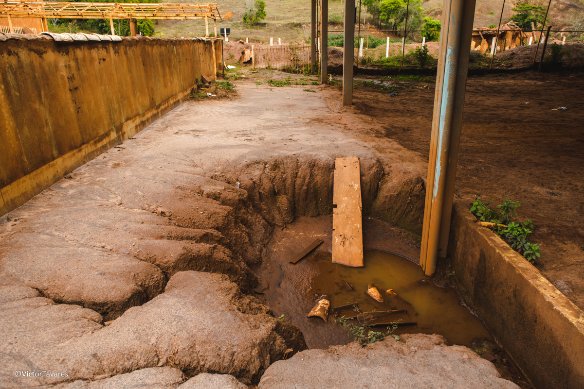 Fotos do rompimento da barragem da Samarco ocorrido em Mariana MG com lama destruição e ruínas em Paracatu de baixo Minas Gerais