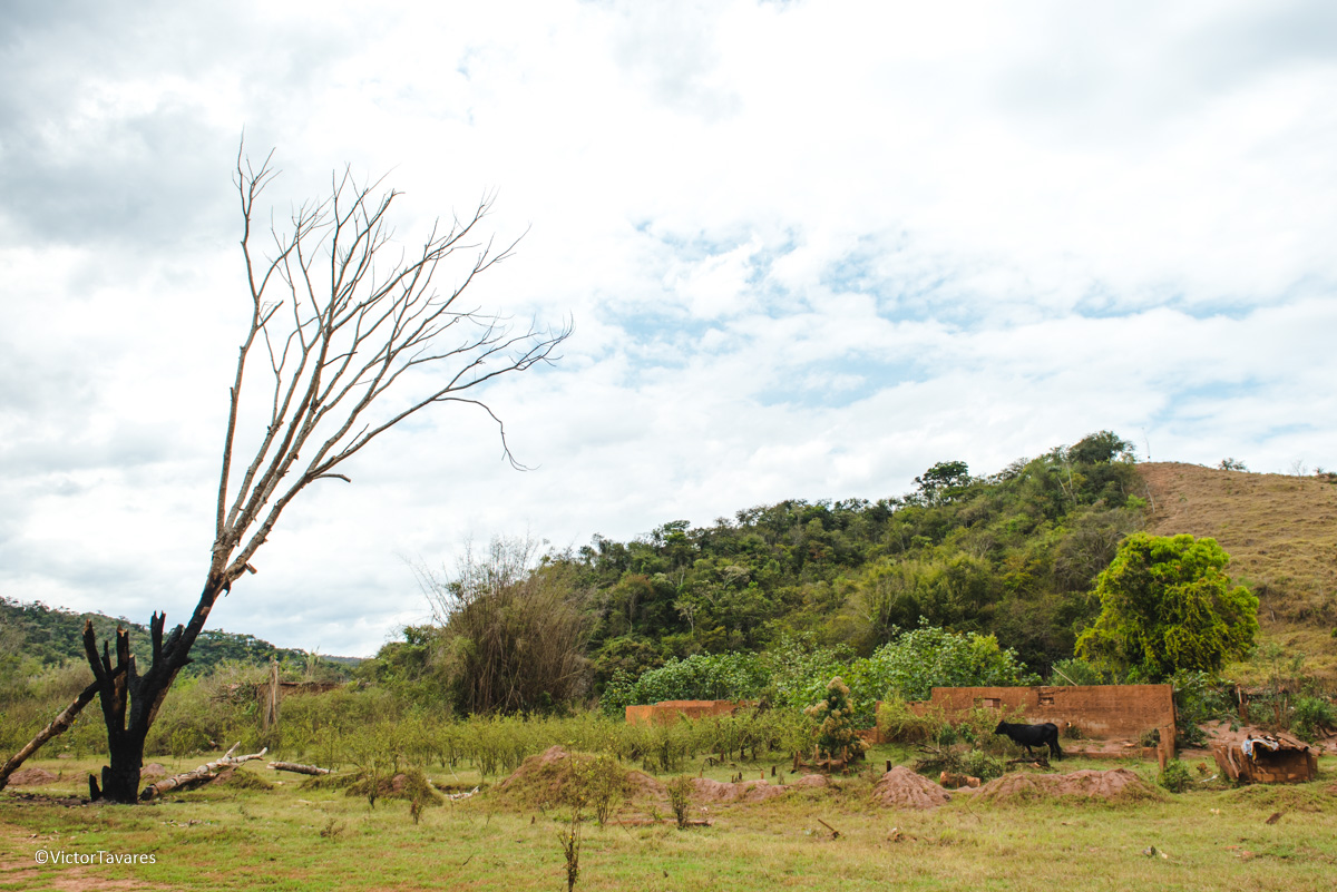 Fotos do rompimento da barragem da Samarco ocorrido em Mariana MG com lama destruição e ruínas em Paracatu de baixo Minas Gerais