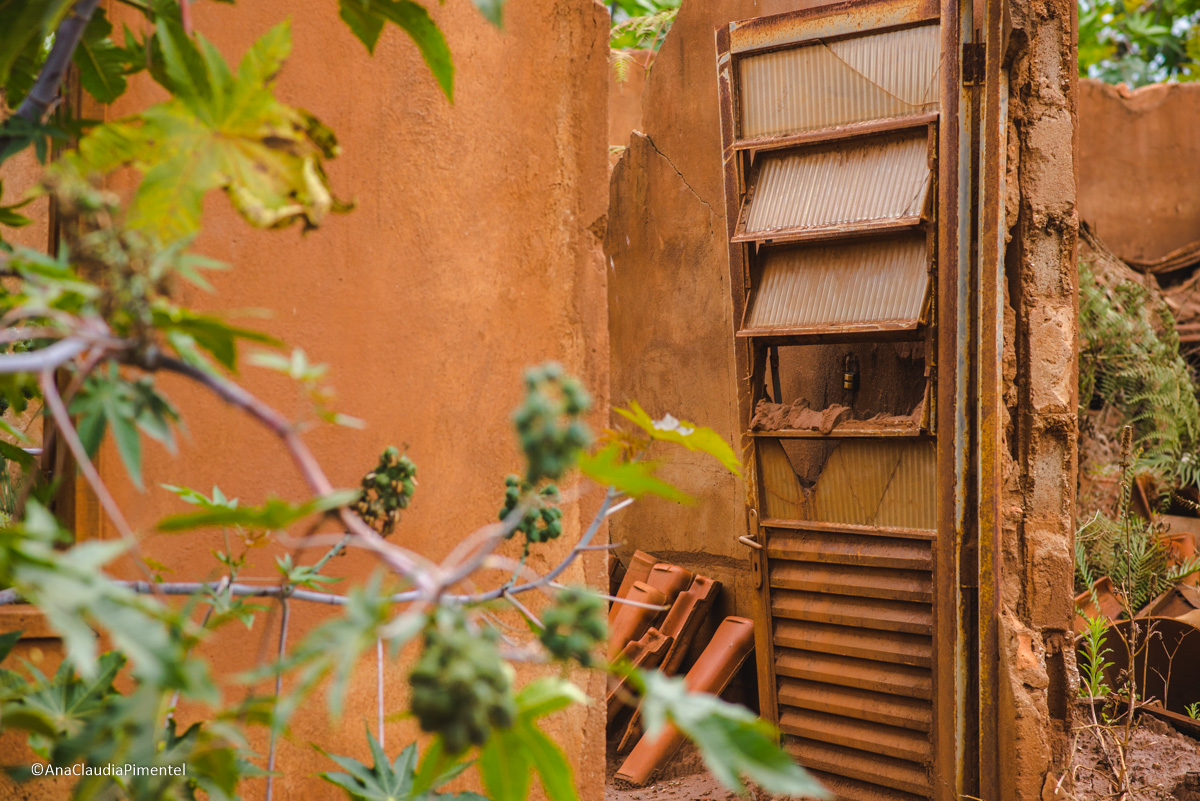 Fotos do rompimento da barragem da Samarco ocorrido em Mariana MG com lama destruição e ruínas em Paracatu de baixo Minas Gerais