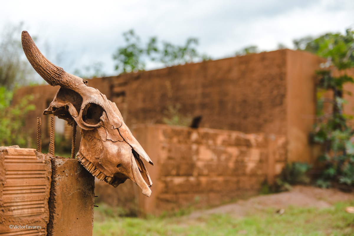Fotos do rompimento da barragem da Samarco ocorrido em Mariana MG com lama destruição e ruínas em Paracatu de baixo Minas Gerais