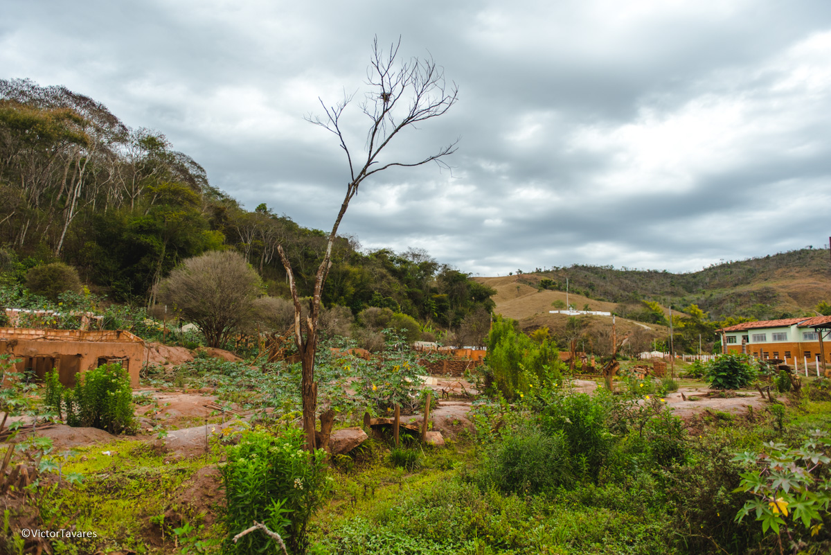 Fotos do rompimento da barragem da Samarco ocorrido em Mariana MG com lama destruição e ruínas em Paracatu de baixo Minas Gerais