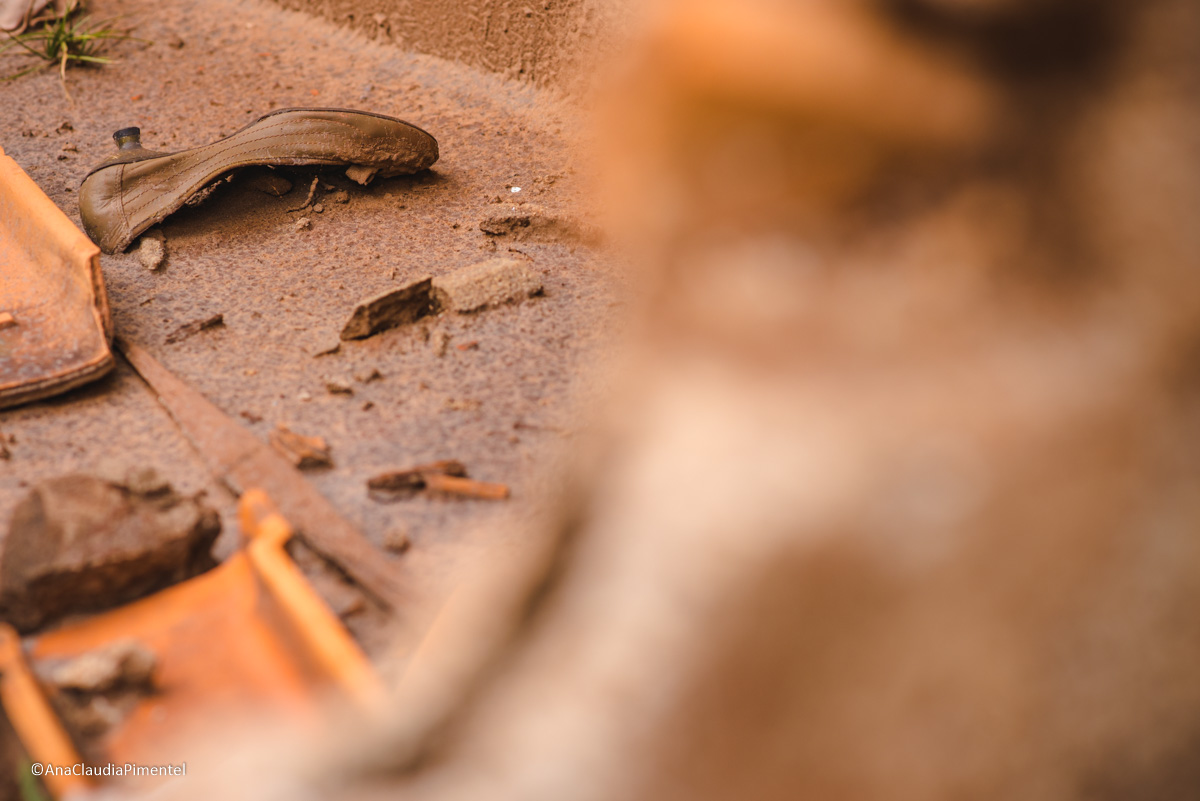 Fotos do rompimento da barragem da Samarco ocorrido em Mariana MG com lama destruição e ruínas em Paracatu de baixo Minas Gerais