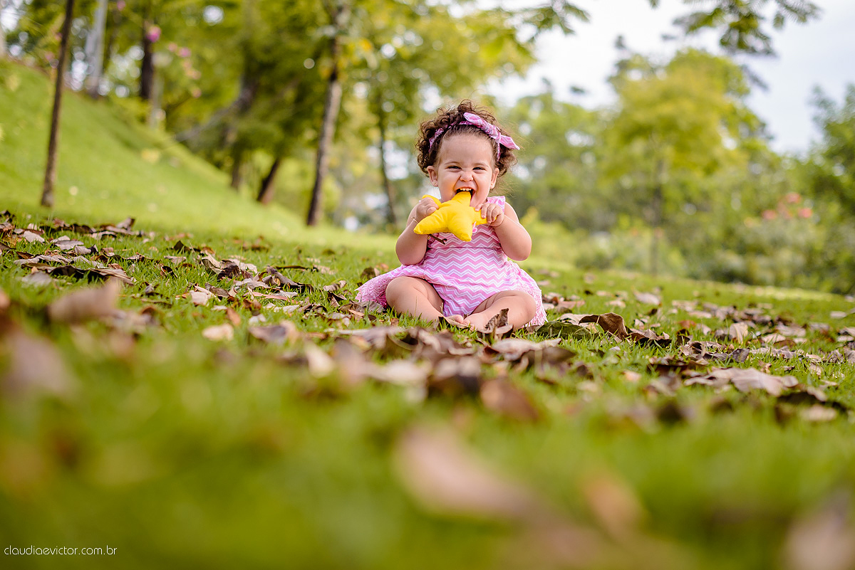 Lindo ensaio infantil feito na ilha do frade com chuva de bênçãos e bebê de 1 ano fotografado por fotógrafos de casamento de vila velha fotógrafos de casamento de vitória fotógrafos de casamento de serra espirito santo es