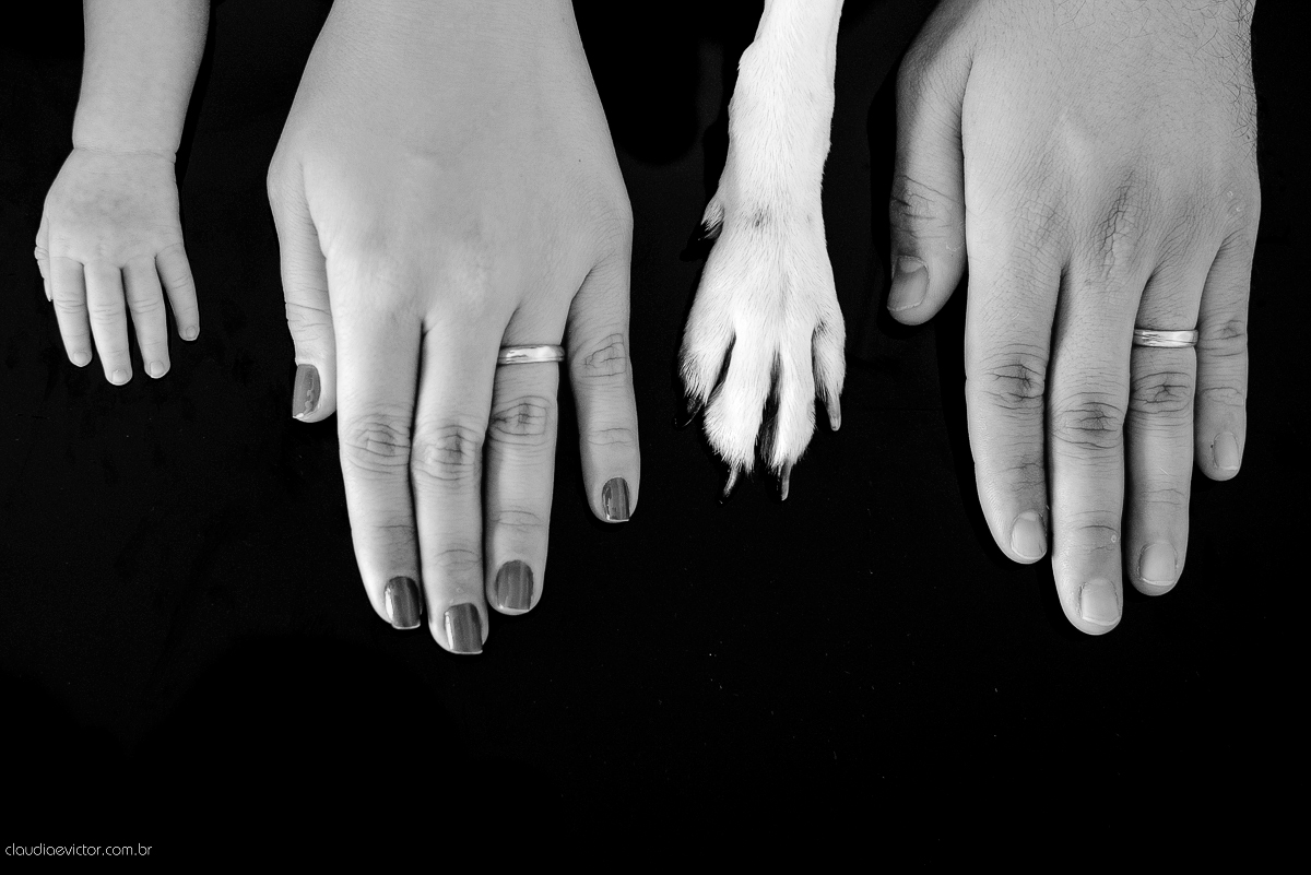 Ensaio fotográfico de newborn realizado em vitoria, espirito santo. Book infantil lifestyle por fotógrafos de casamento em Vila Velha fotógrafos de casamento em Vitória fotógrafos de casamento em Serra com bebe, familia feliz e cachorro