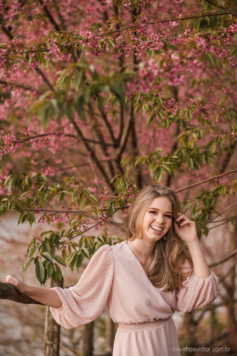 Ensaio feminino de 15 anos nas cerejeiras de pedra azul domingos martins por fotógrafos de casamento em vila velha fotógrafos de casamento em vitória montanhas capixabas beleza com flores por do sol 