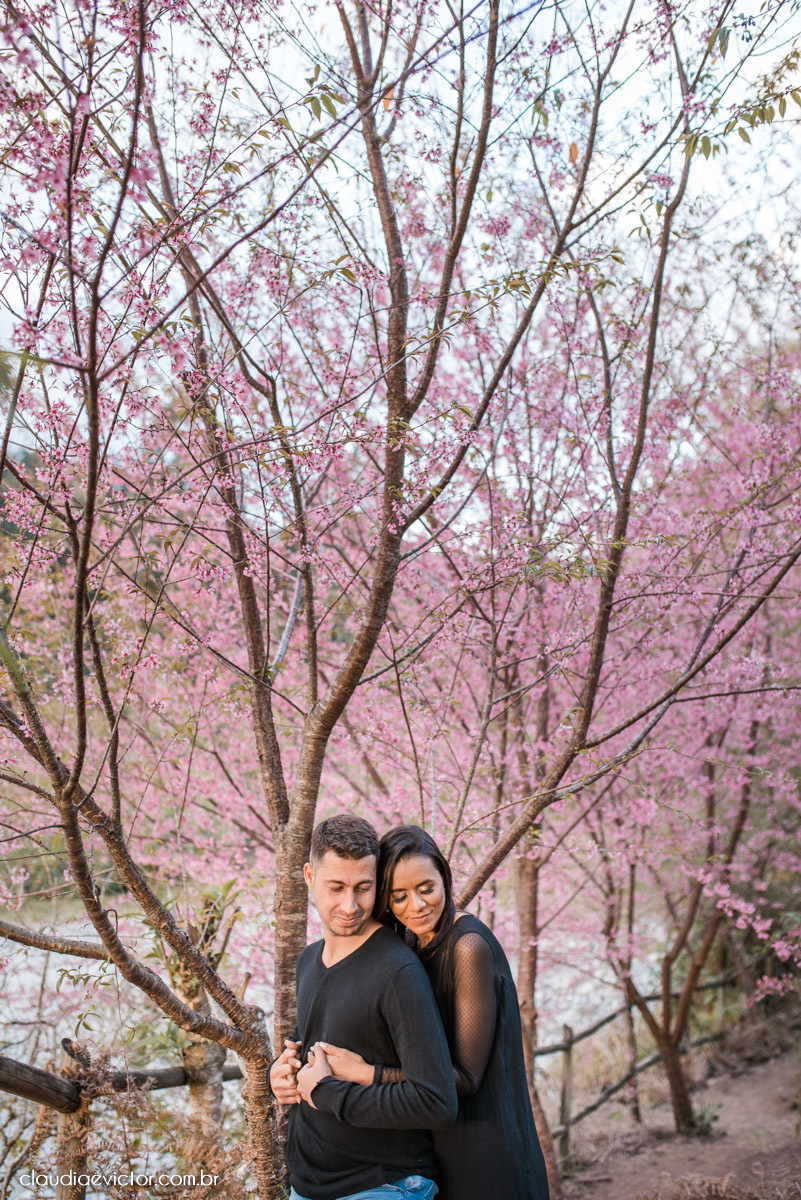 ensaio fotografico ensaio de casal pre wedding noivo noiva em pedra azul domingos martins es fotógrafo de casamento em vila velha fotógrafo de casamento em Vitória espirito santo es flores flor de cerejeira florada casamento