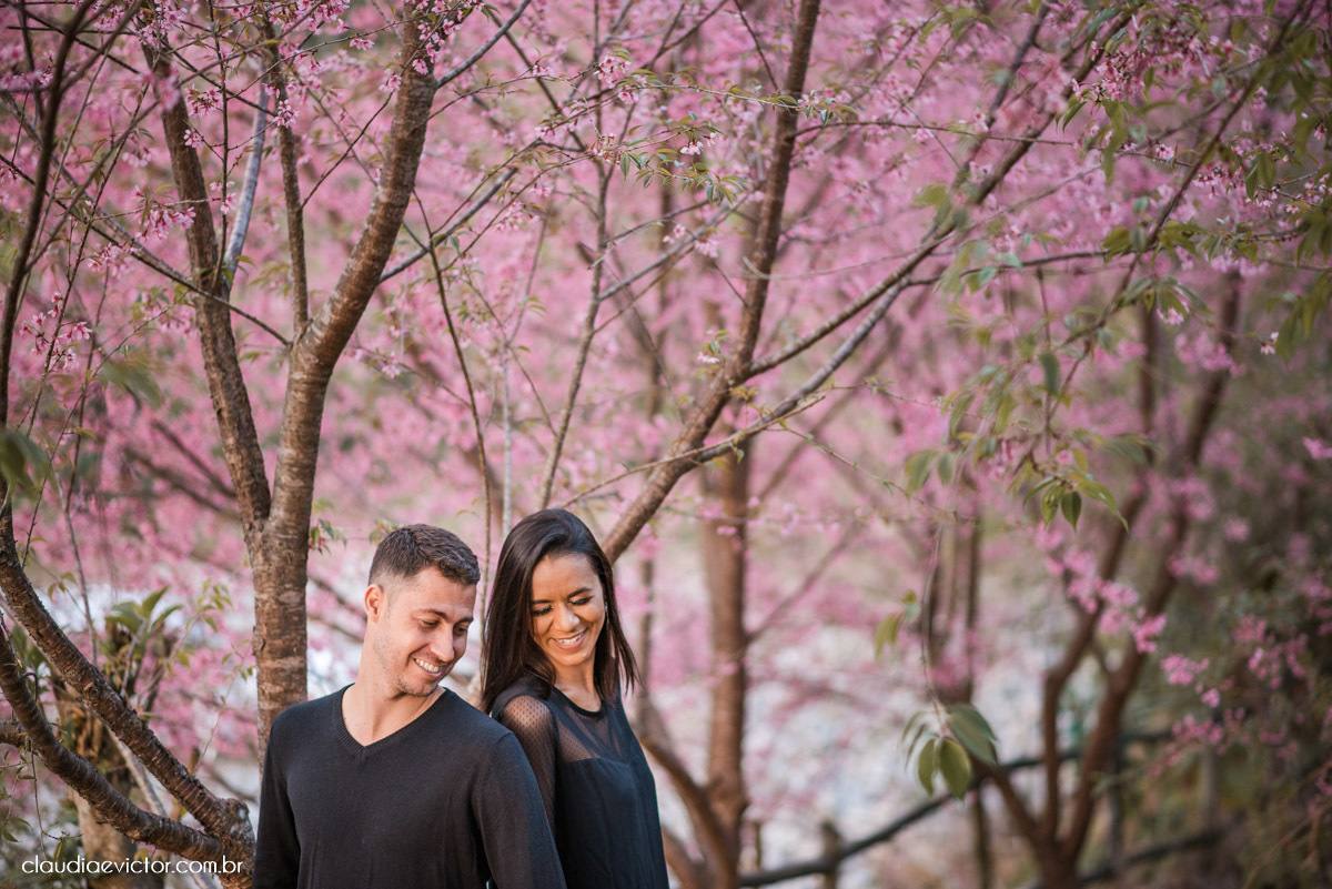 ensaio fotografico ensaio de casal pre wedding noivo noiva em pedra azul domingos martins es fotógrafo de casamento em vila velha fotógrafo de casamento em Vitória espirito santo es flores flor de cerejeira florada casamento