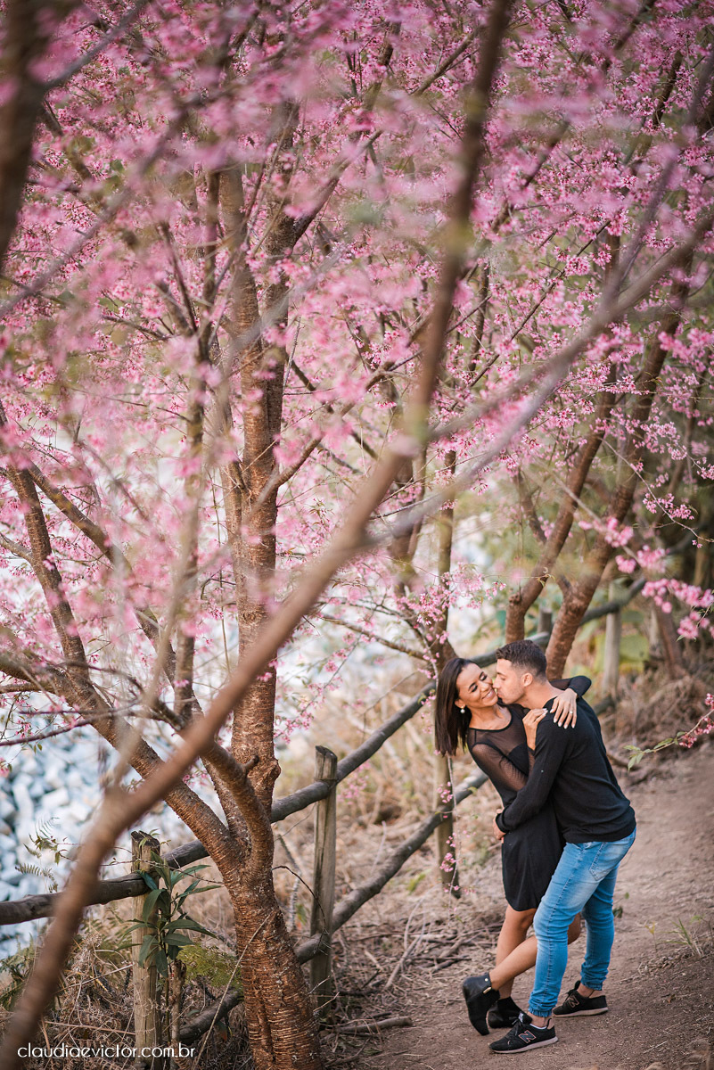 ensaio fotografico ensaio de casal pre wedding noivo noiva em pedra azul domingos martins es fotógrafo de casamento em vila velha fotógrafo de casamento em Vitória espirito santo es flores flor de cerejeira florada casamento