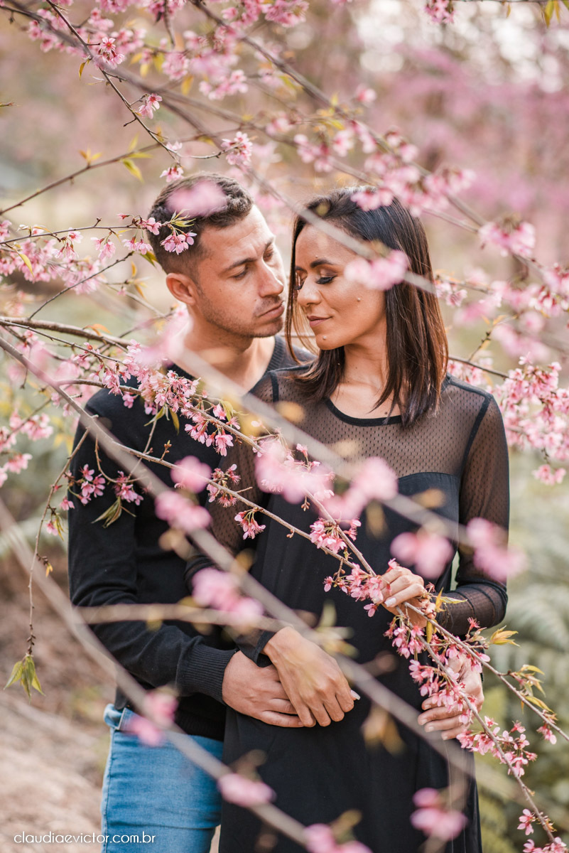 ensaio fotografico ensaio de casal pre wedding noivo noiva em pedra azul domingos martins es fotógrafo de casamento em vila velha fotógrafo de casamento em Vitória espirito santo es flores flor de cerejeira florada casamento