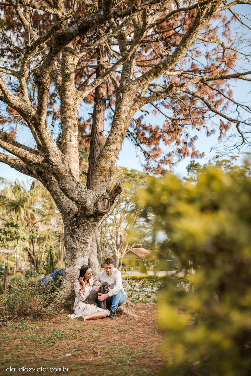 ensaio fotografico ensaio de casal pre wedding noivo noiva em pedra azul domingos martins es fotógrafo de casamento em vila velha fotógrafo de casamento em Vitória espirito santo es flores flor de cerejeira florada casamento