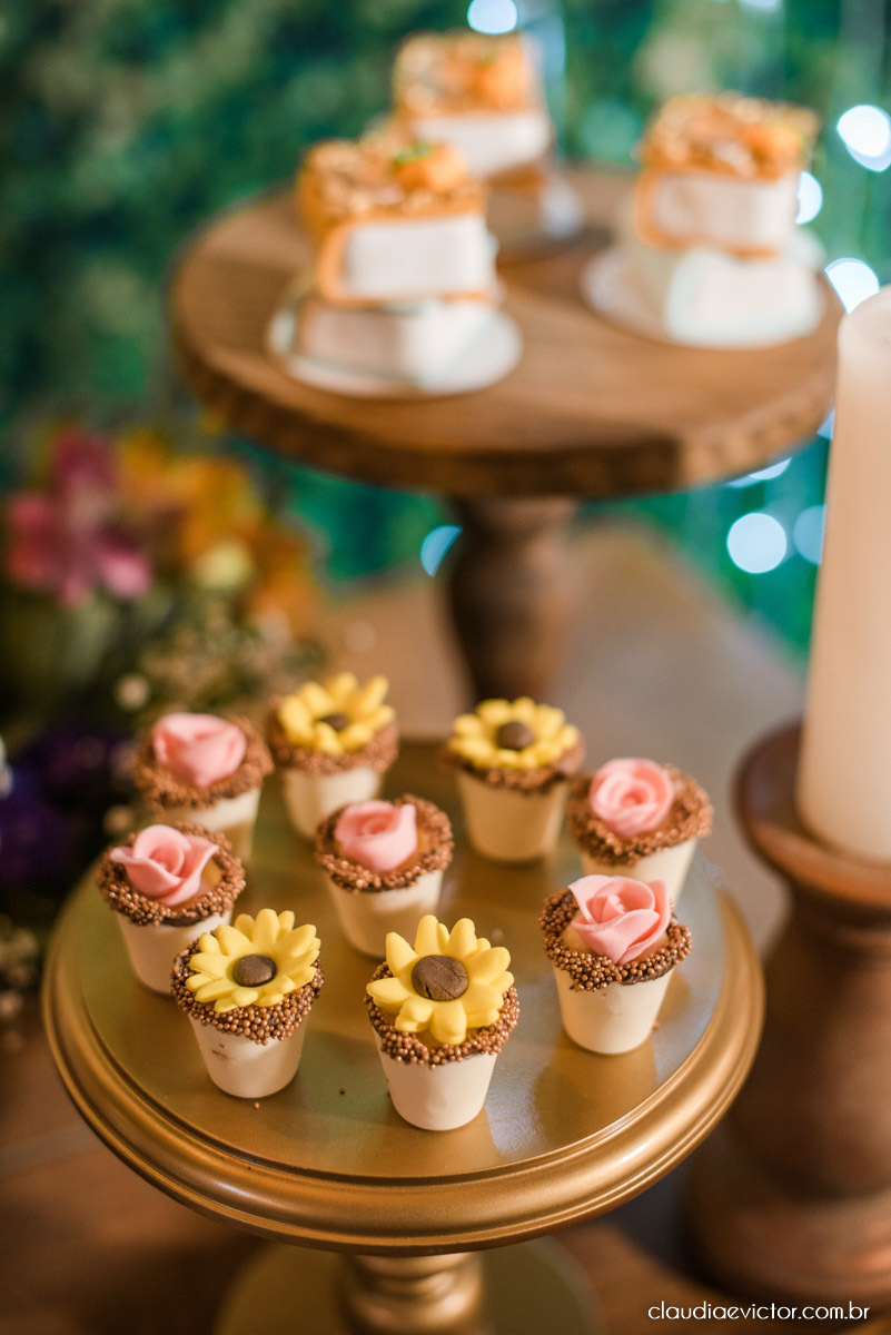 aniversário de 15 anos debutante no restaurante vovó rosinha ibatiba espirito santo fotógrafos de casamento em vila velha fotógrafos de casamento em vitória espirito santo es fotógrafos de casamento em Ibatiba Caparaó bailarina casarão