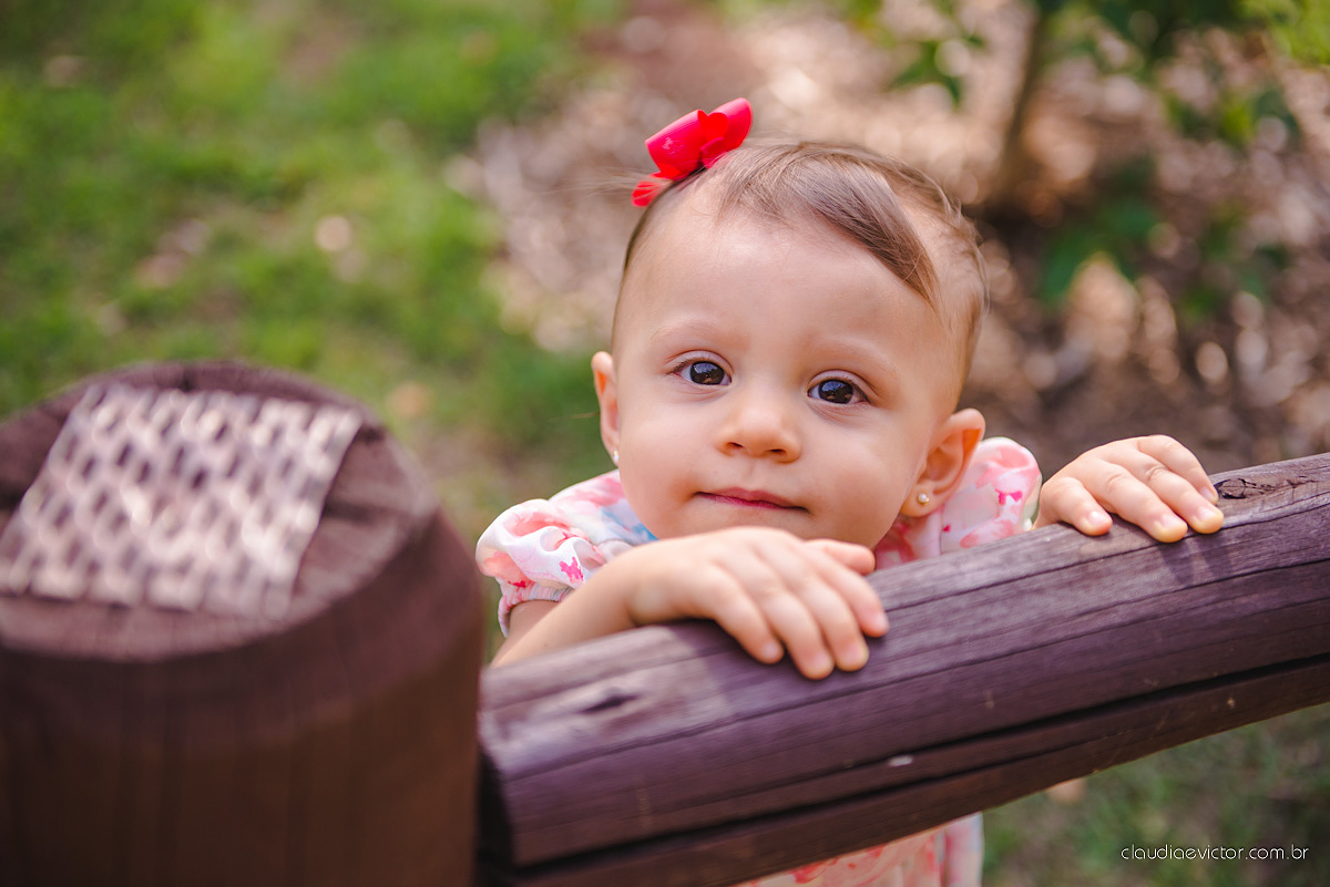 Lindo ensaio infantil no parque da vale por fotógrafos de casamento de Vila Velha fotógrafos de casamento de Vitória fotógrafos de casamento de Serra Espirito Santo ES