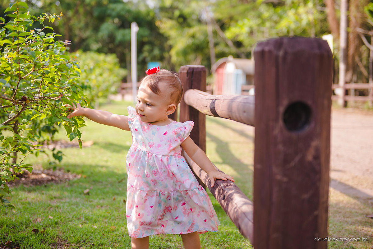 Lindo ensaio infantil no parque da vale por fotógrafos de casamento de Vila Velha fotógrafos de casamento de Vitória fotógrafos de casamento de Serra Espirito Santo ES