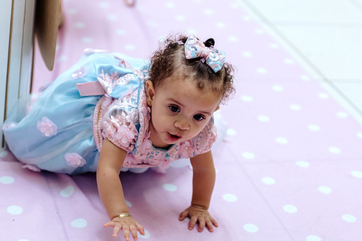 gatinhando-pela-festa