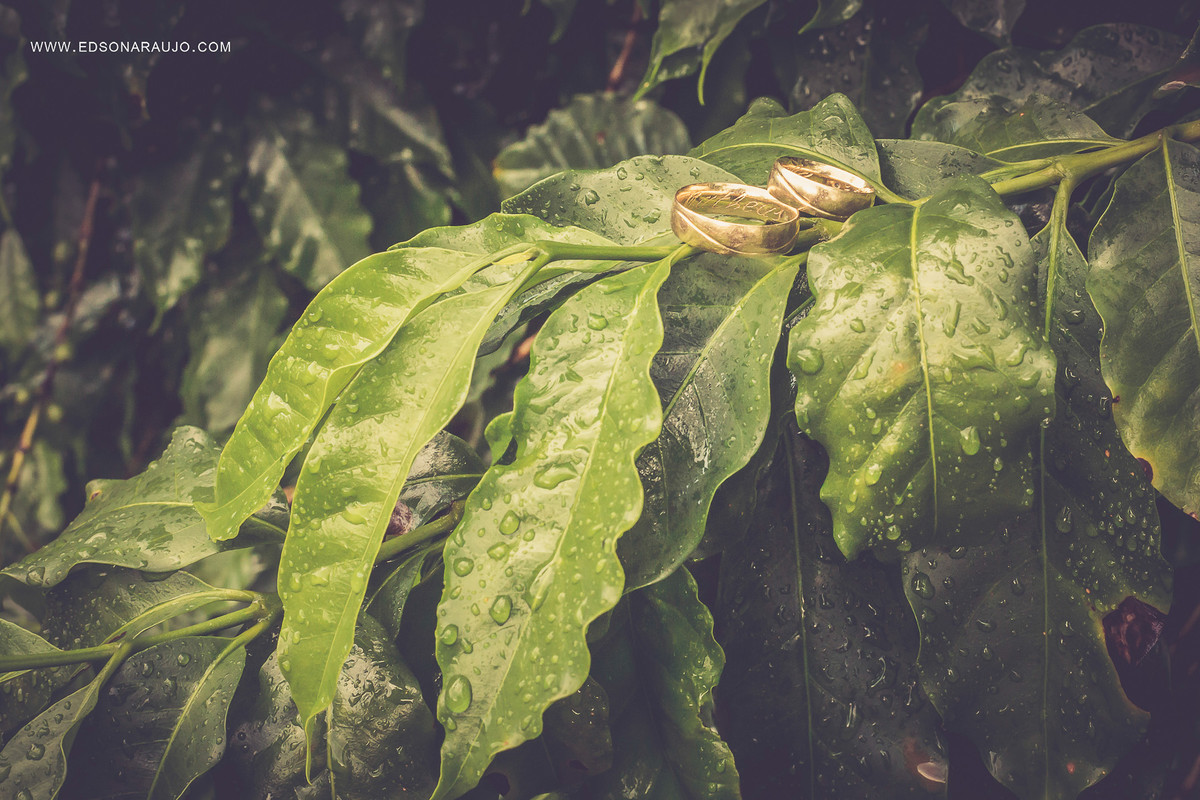 Melhor fotografo em João PInheiro MG, Icasei, fotos de noivos, Local para fotos de noivos, Mocambo Patos de Minas MG, Parque Mocambo, Noivos em Patos, Noivos em João Pinheiro,  Ensaio de casal.