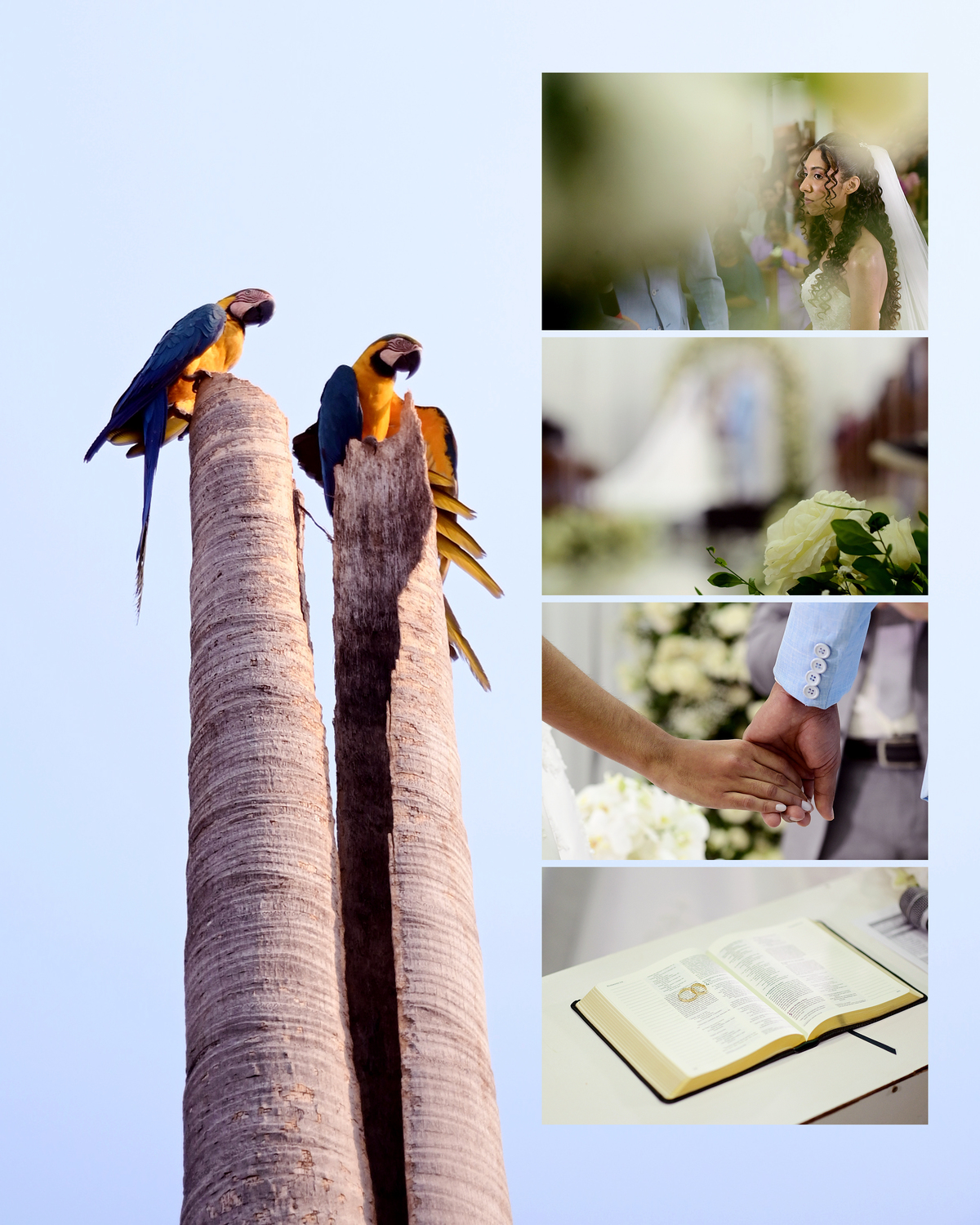 Casamento Melissa e Uriel em João Pinheiro MG. Igreja Assembleia de Deus missão de João Pinheiro MG. Melhor fotogrado de casamentos de João Pinheiro, Edson Araujo fotografias, Daisa cerimonial de casamentos, Hotel HB em João Pinheiro MG, Fotografo de casa