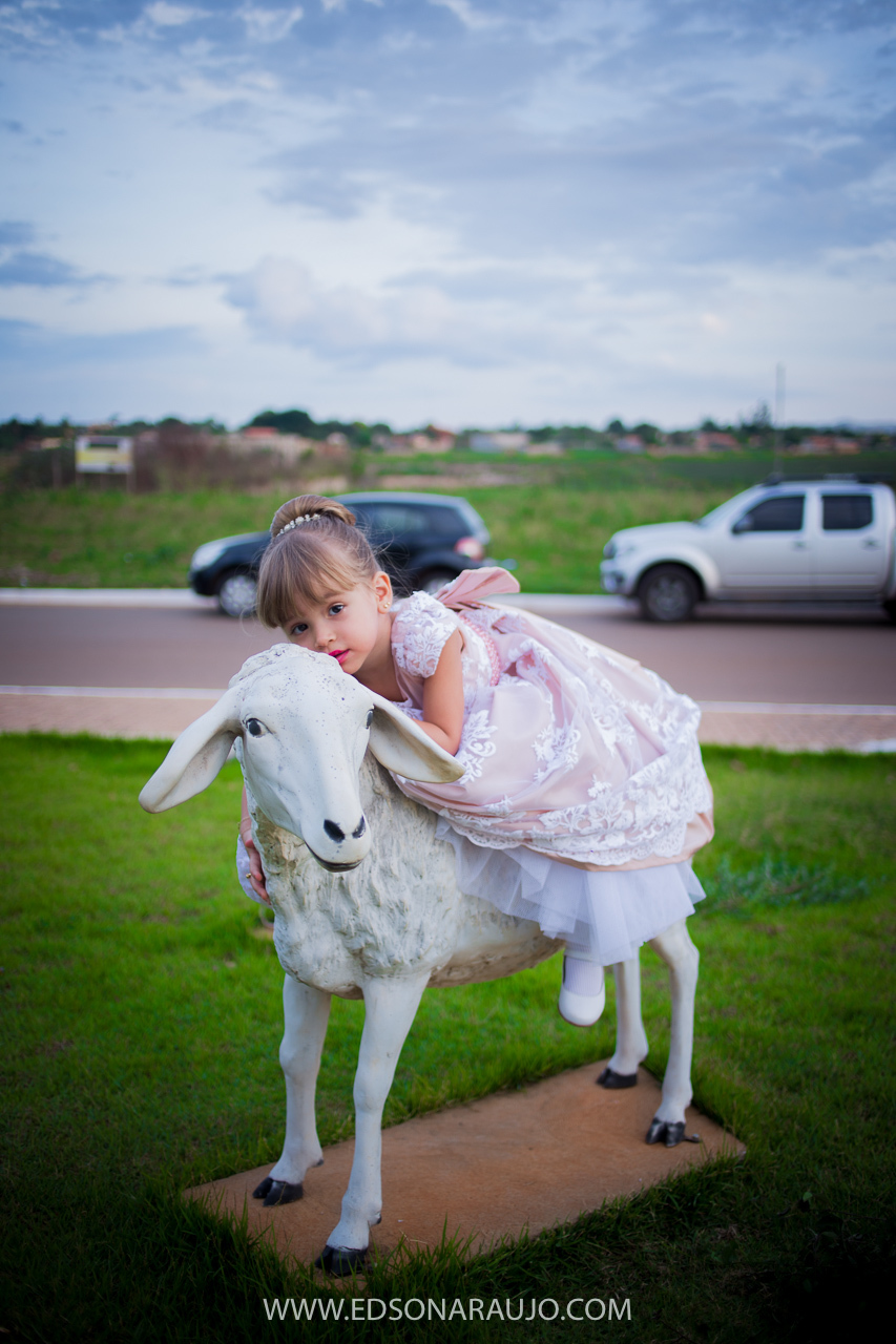 Casamento da Carol e Paulo Jr. em Lagoa Grande - MG. Igreja Matriz São Sebastião, Fotografo Edson Araujo, Cerimonial Conceito Eventos, Decoracao Neimar Decoracoes, Produção da noiva: Sinara Moreira. Melhor Fotografo Lagoa Grande.
