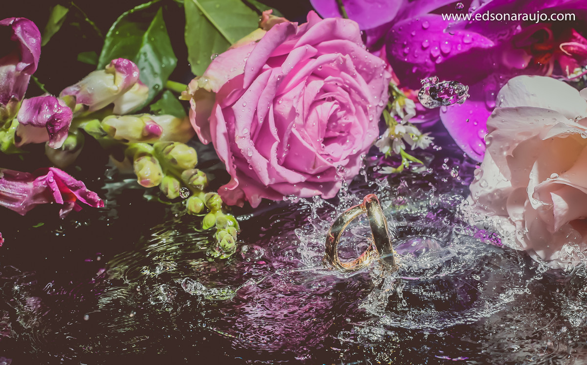 Edson, Edson Araujo, Edson Araujo Fotografias, alianças, Fotos de alianças, Foto criativa de alianças, Alianças de noivos, alianças em João Pinheiro - MG, Melhor fotógrafo de casamentos.