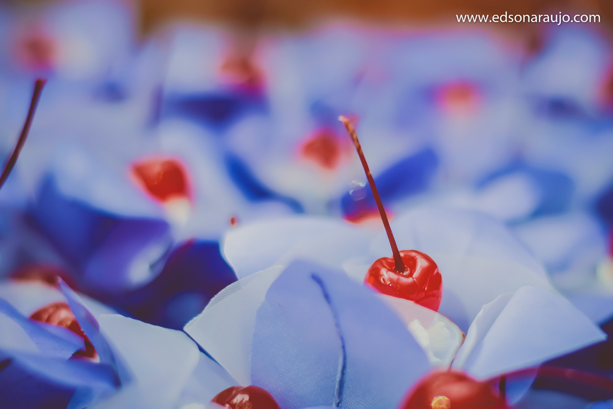 Edson Araujo Fotografias, Casando em João PInheiro - MG, Casamentos em João Pinheiro, Cassia e Luiz Fernando, Namastê em João Pinheiro MG, Bolo de casamento em João Pinheiro, Maquete em João Pinheiro.