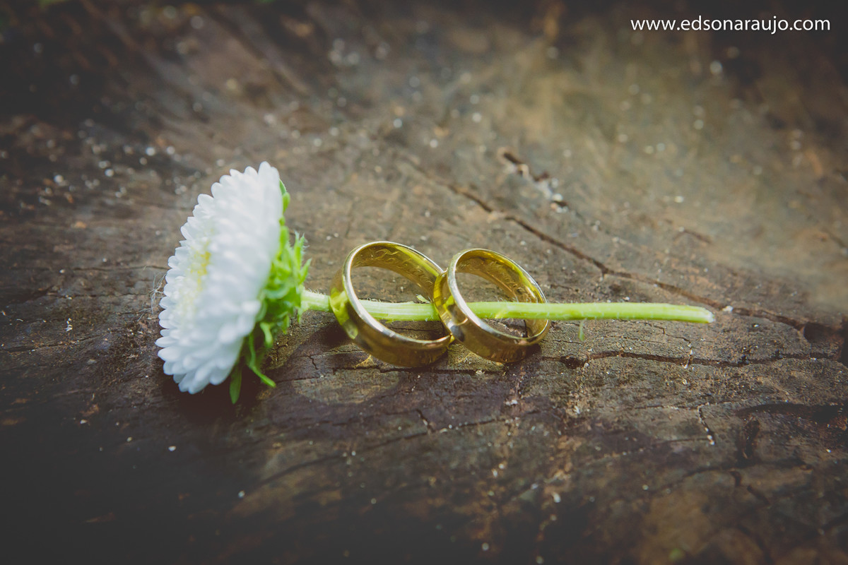 decoração de casamento em Patos de Minas MG, docinhos de casamento, decoração de casamentos, flores para casamento, alianças de casamento, decoração, noiva, noivo, noivos, fotografo de casamento
