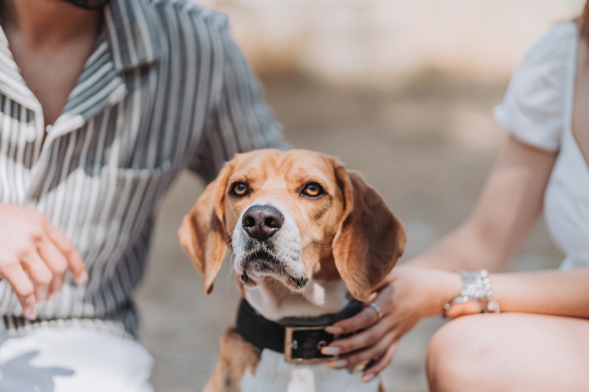 sessão de solteiros em Aguiar da Beira