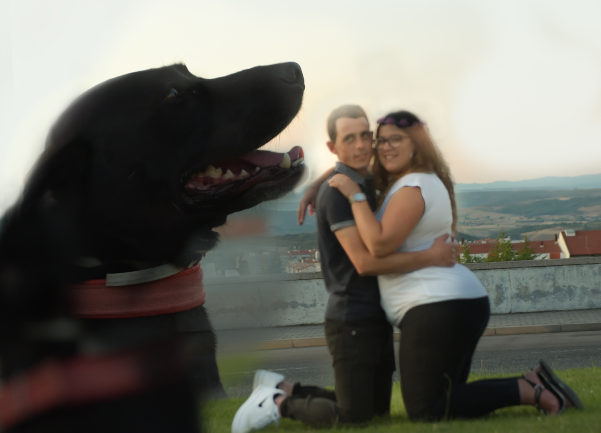  A Felicidade dos noivos junto do seu cão - Sessão pré casamento