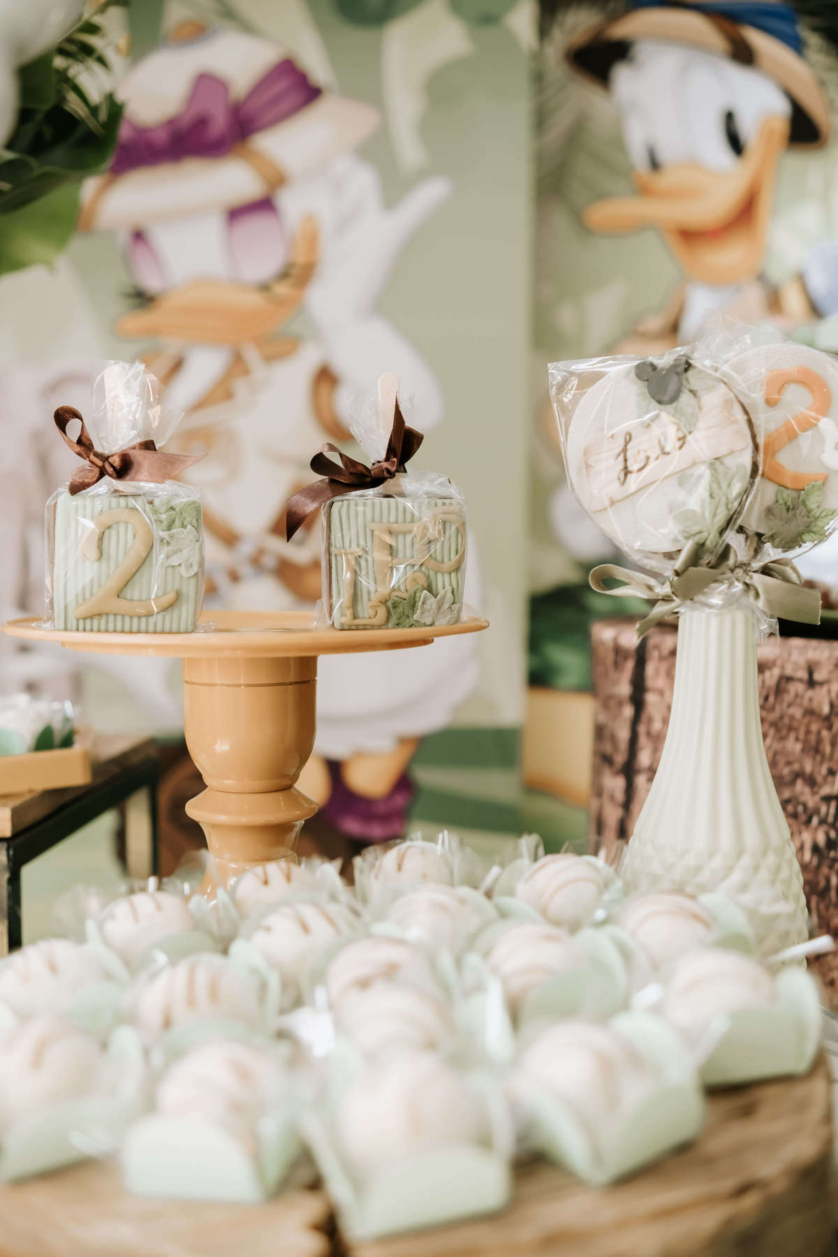 Festa infantil 2 anos menino tema Mickey Safari Buffet Espaço Formigueiro fotógrafa fotos naturais, São Paulo