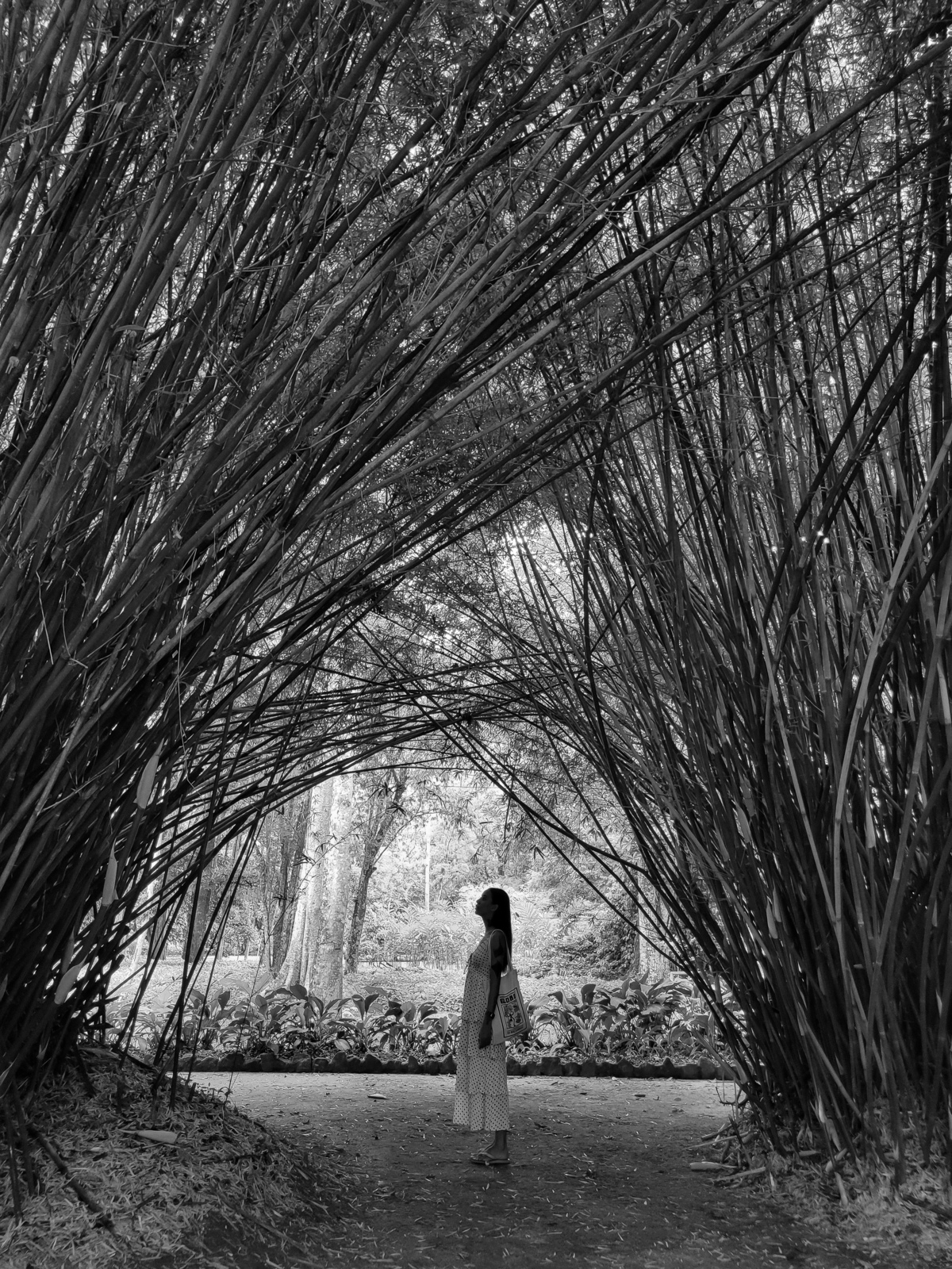 mulher-jardim-botanico