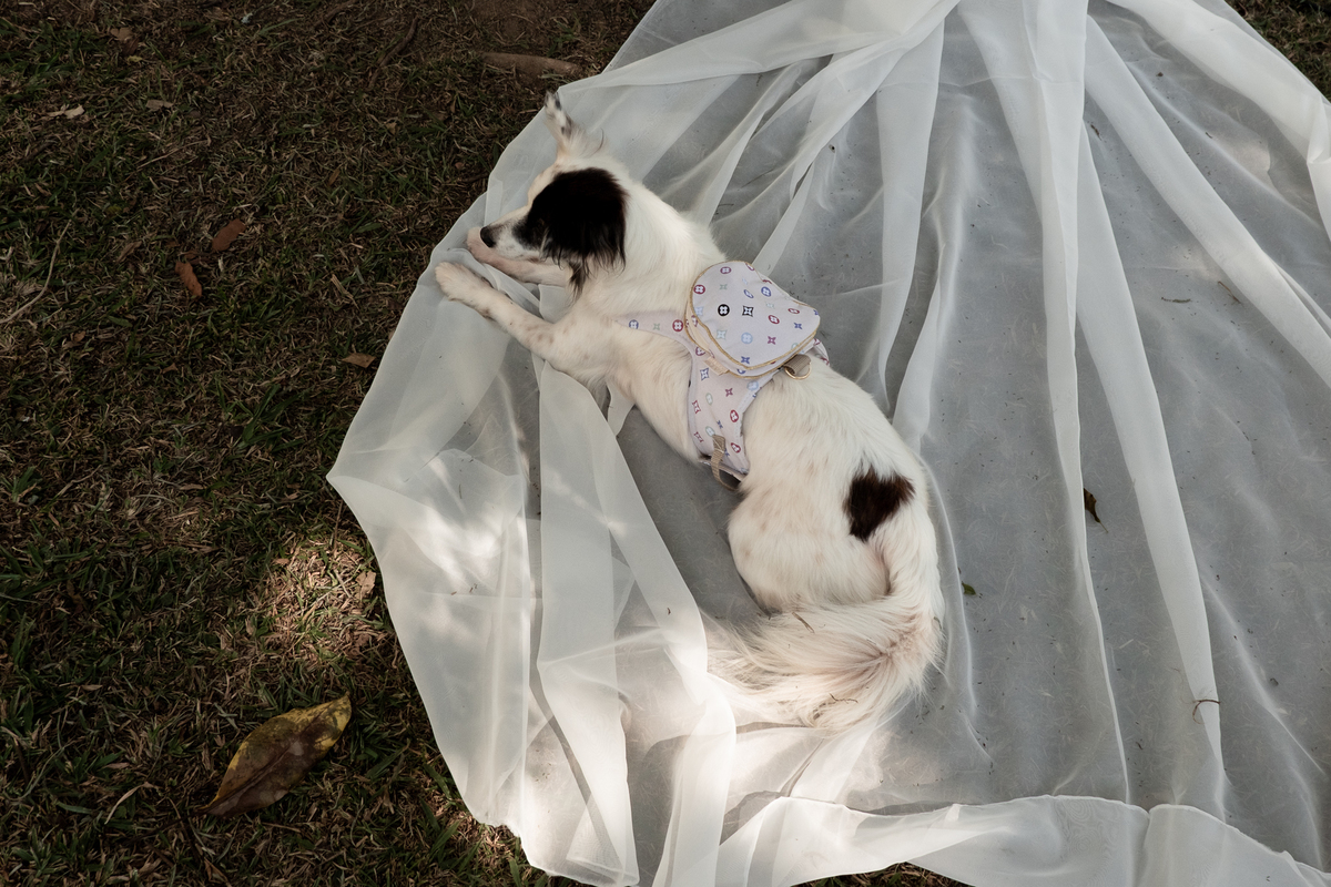 mini-wedding-sitio-sp