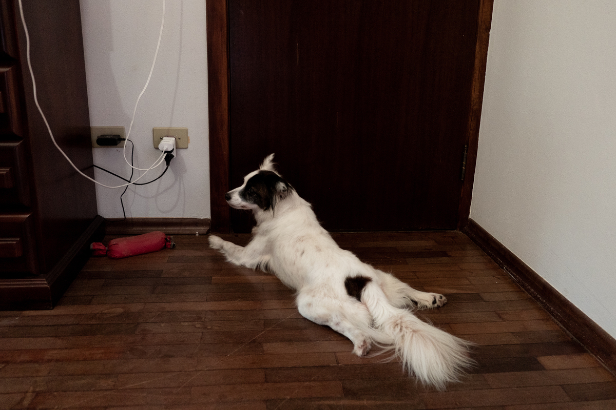 mini-wedding-piracaia-sp