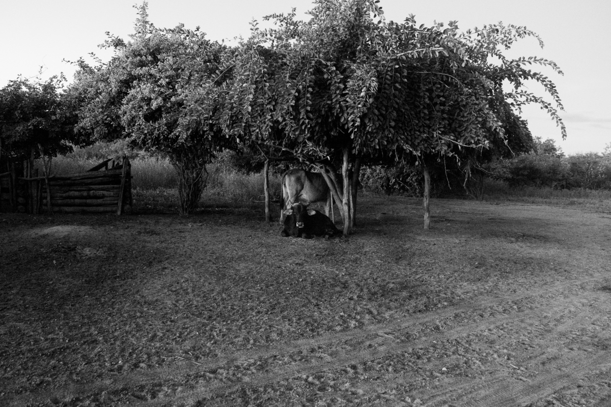 fotografia-viagem-pi