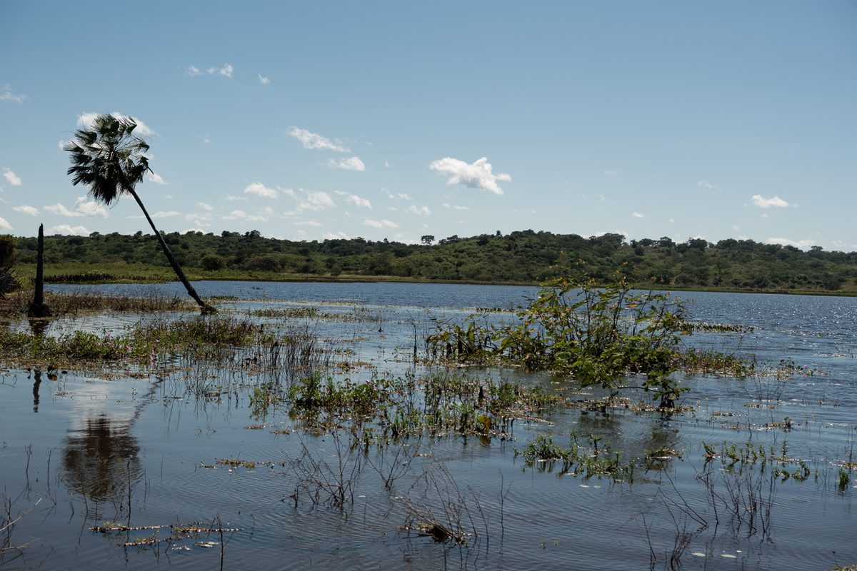 fotografia-viagem-pi