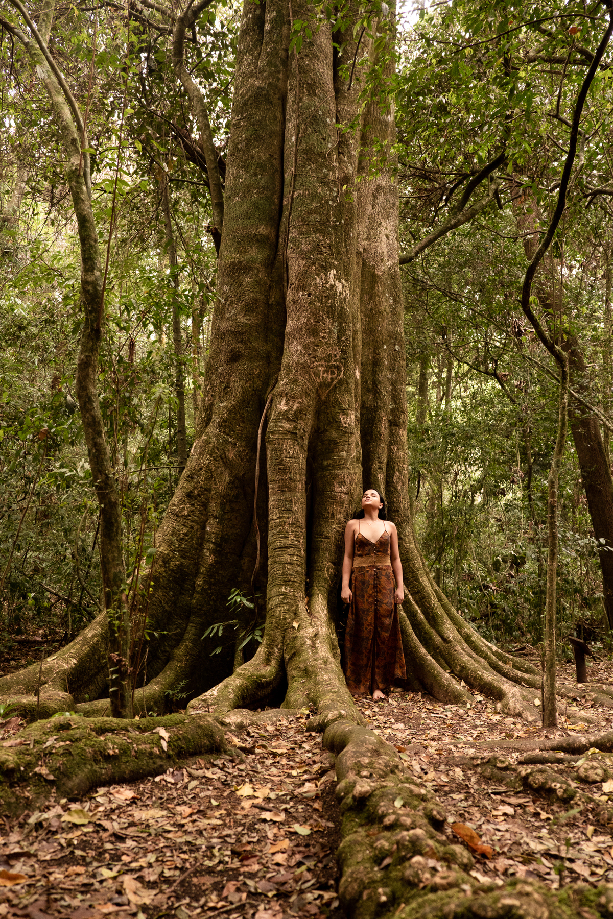 retrato-mulher-natureza-sp