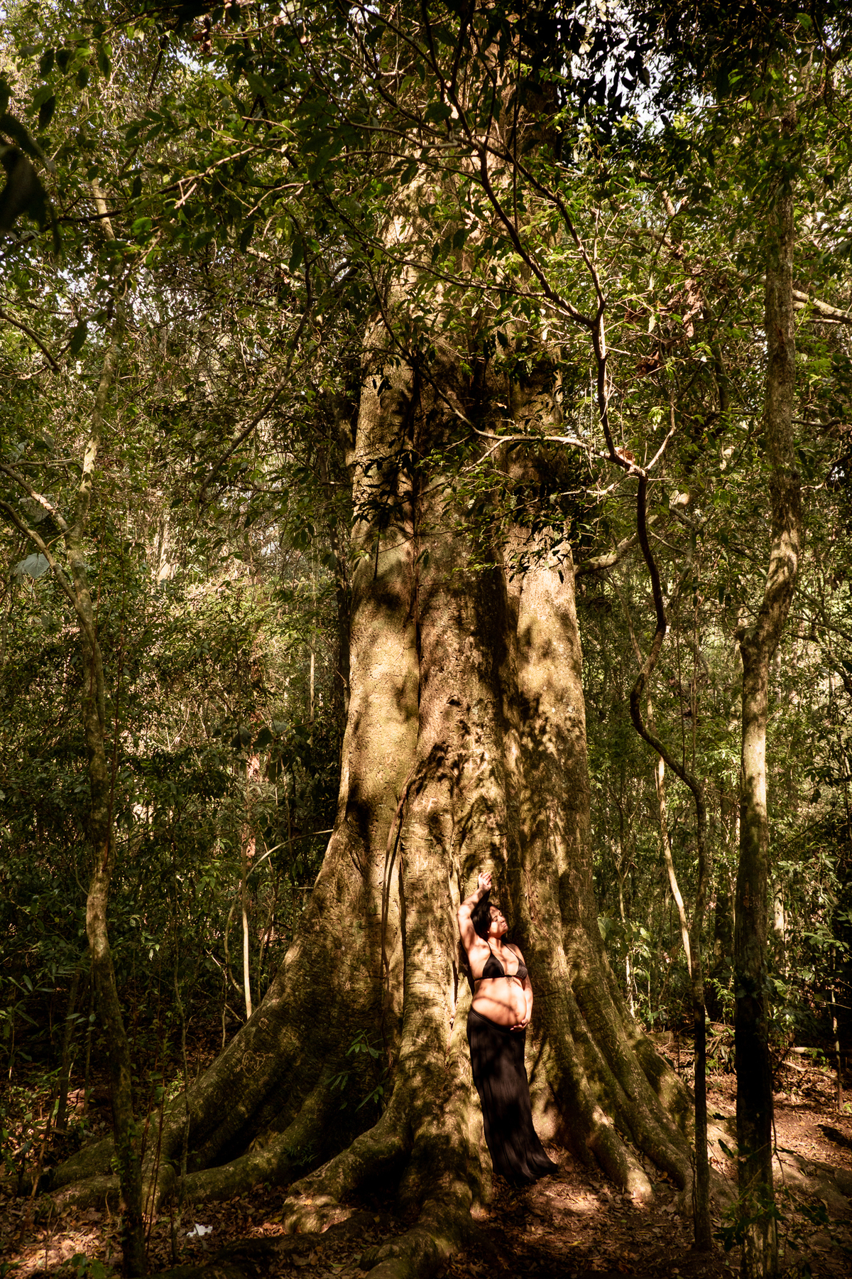fotografia-gestante-natureza-sp