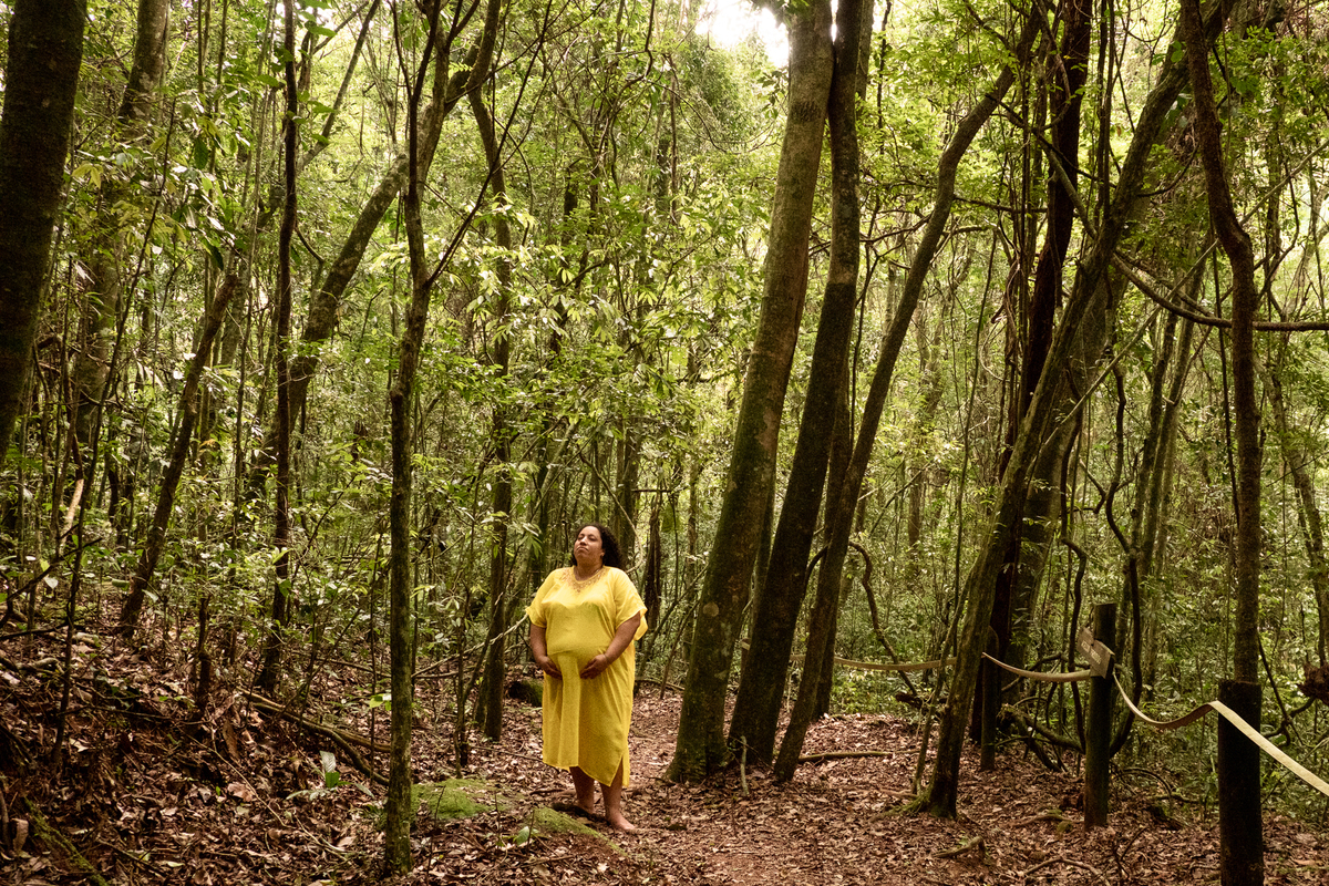 ensaio-gestante-natureza