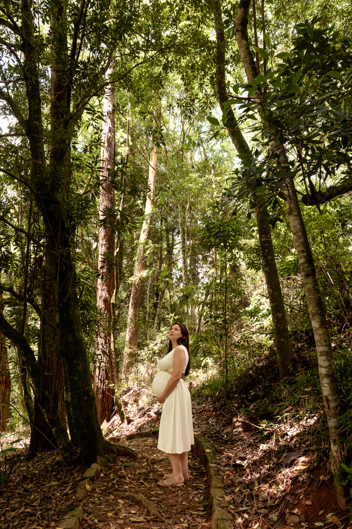 foto-gestante-natureza-sp