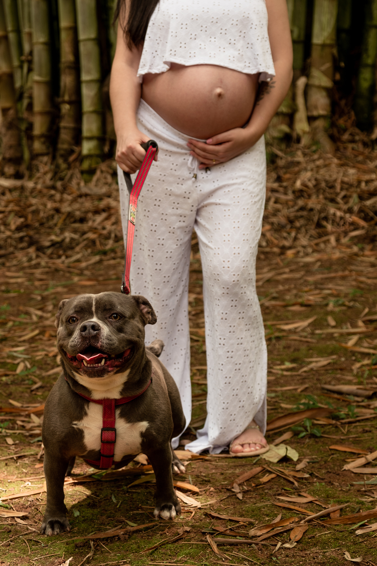 retrato-gestante-natureza-sp