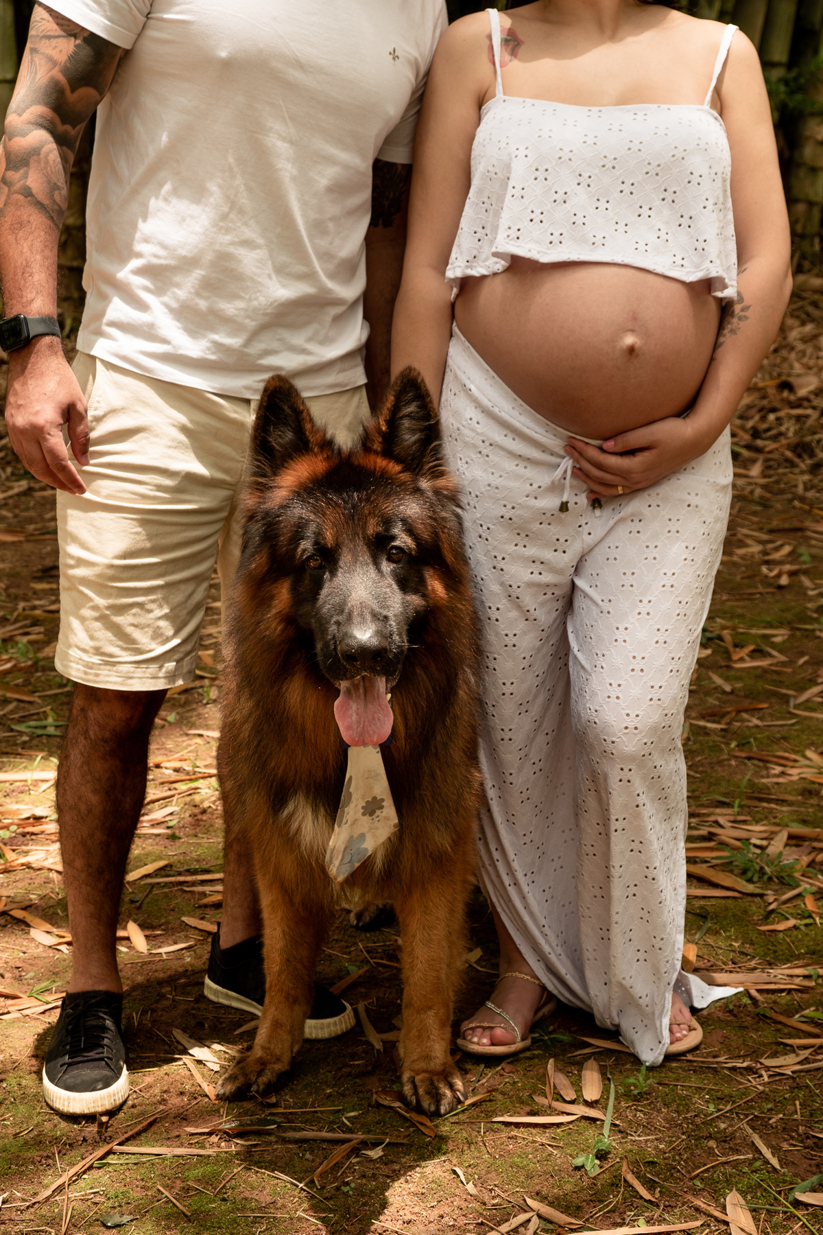 foto-gestante-natureza-sp