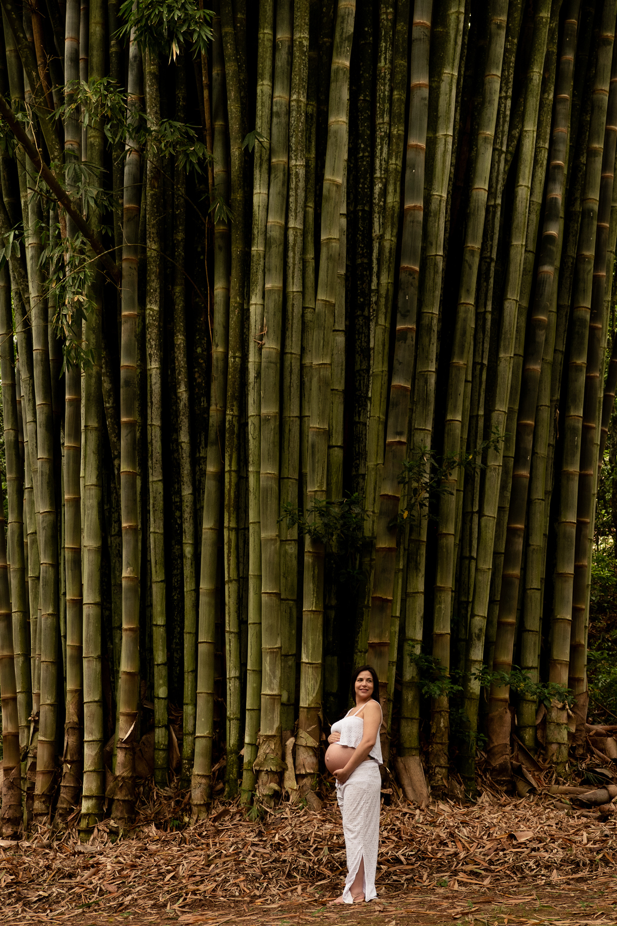 ensaio-gestante-natureza